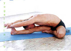Джану Ширшасана - Поза с головой, лежащей на коленях